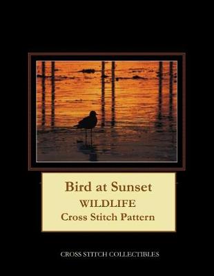 Book cover for Bird at Sunset