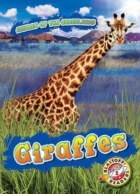 Book cover for Giraffes