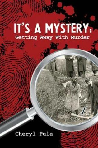 Cover of It's a Mystery, Volume 1