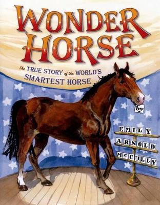Book cover for Wonder Horse