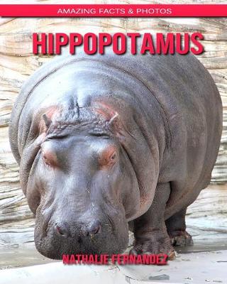 Book cover for Hippopotamus