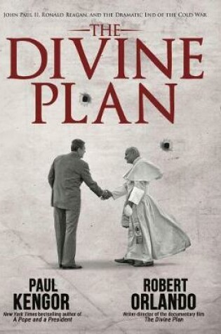 Cover of The Divine Plan