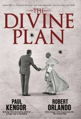 Book cover for The Divine Plan