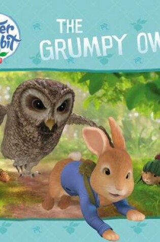 Cover of The Grumpy Owl