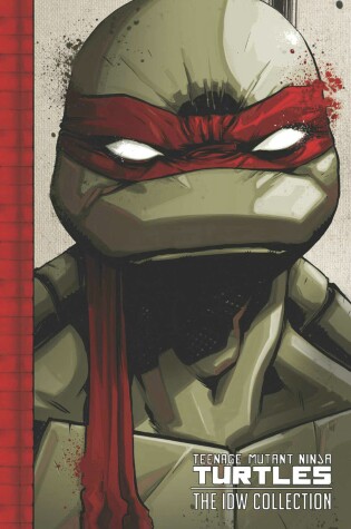 Cover of Teenage Mutant Ninja Turtles: The IDW Collection Volume 1