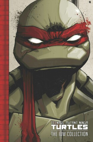 Book cover for Teenage Mutant Ninja Turtles: The IDW Collection Volume 1