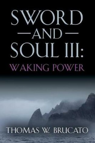 Cover of Sword and Soul III