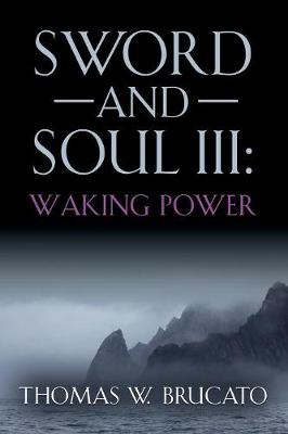 Book cover for Sword and Soul III