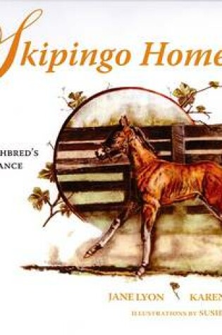 Cover of Skipingo Home