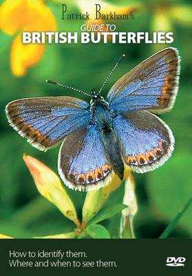 Book cover for Patrick Barkham's Guide to British Butterflies