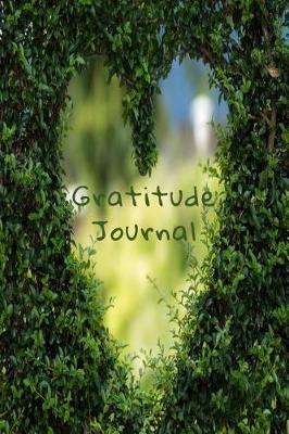 Book cover for Gratitude Journal