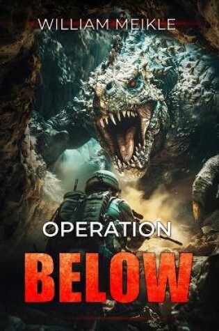 Cover of Operation Below