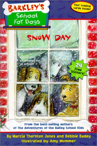 Book cover for Snow Day