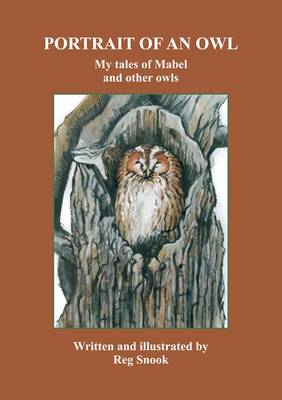 Book cover for Portrait of an Owl