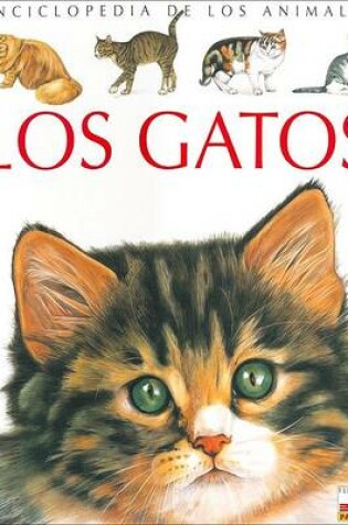 Cover of Los Gatos