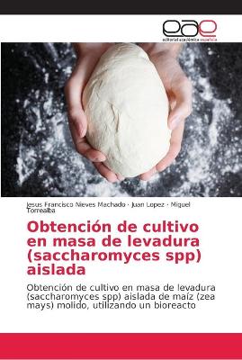 Book cover for Obtención de cultivo en masa de levadura (saccharomyces spp) aislada