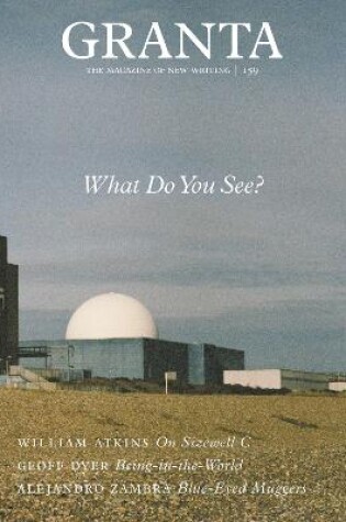 Cover of Granta 159: What Do You See?