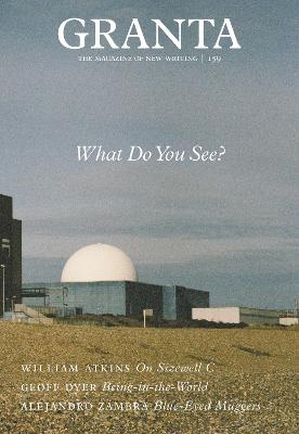 Book cover for Granta 159: What Do You See?