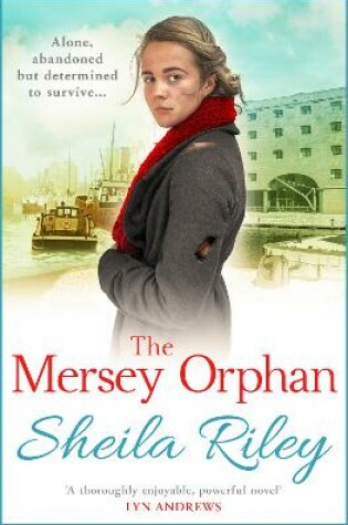 Cover of The Mersey Orphan