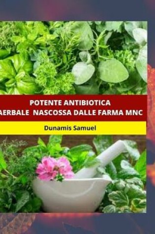Cover of Potente Antibiotica Aerbale Nascossa Dalle Farma Mnc