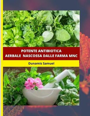 Book cover for Potente Antibiotica Aerbale Nascossa Dalle Farma Mnc