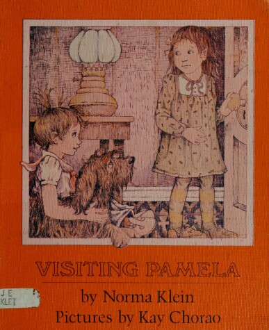 Book cover for Visiting Pamela