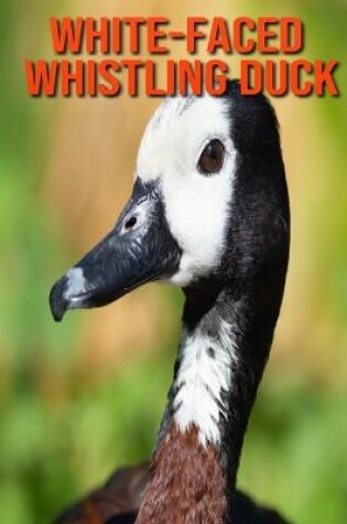 Cover of White-Faced Whistling Duck