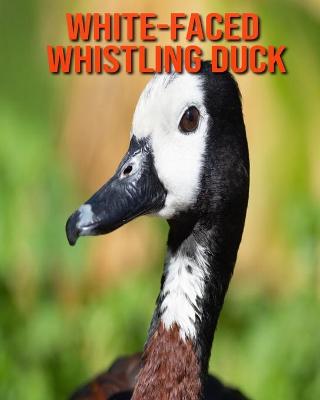 Book cover for White-Faced Whistling Duck