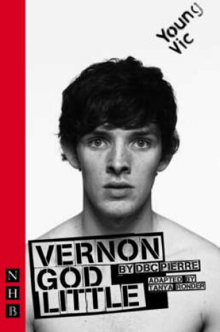 Cover of Vernon God Little