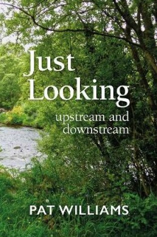Cover of Just Looking