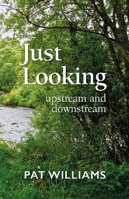 Book cover for Just Looking