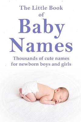 Book cover for The Little Book of Baby Names
