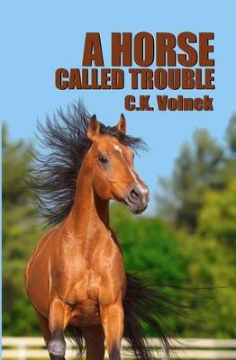 Book cover for A Horse Called Trouble