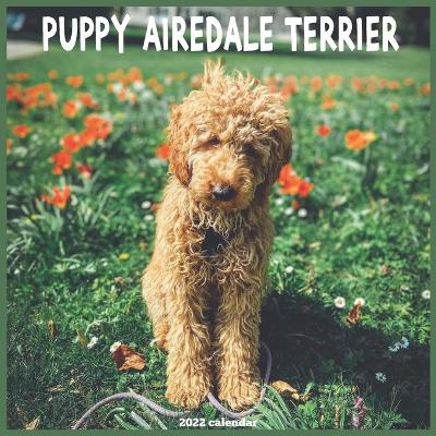 Book cover for Airedale Terrier Puppy 2022 Calendar