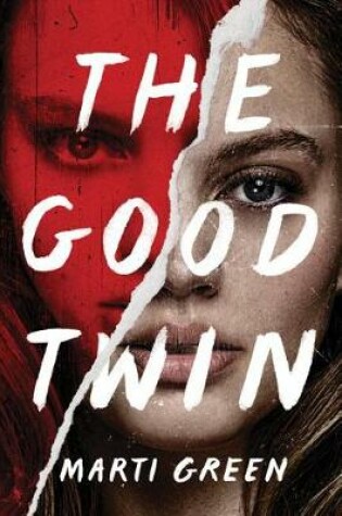 Cover of The Good Twin