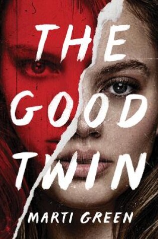 Cover of The Good Twin