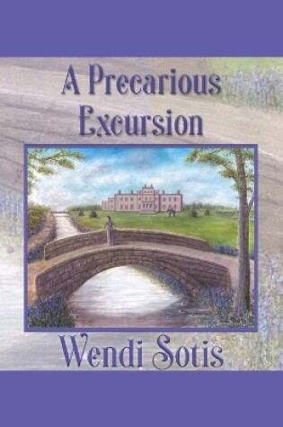 Cover of A Precarious Excursion