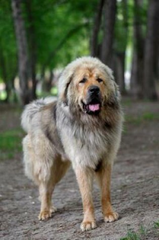 Cover of Tibetan Mastiff