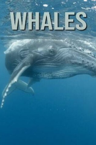 Cover of Whales