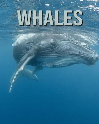 Book cover for Whales