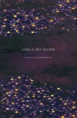 Book cover for Like a Sky Inside