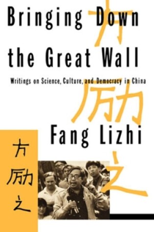 Cover of Bringing Down the Great Wall