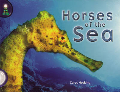 Book cover for Lighthouse White: Horses of the Sea (6 pack)