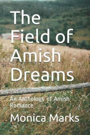 Cover of The Field of Amish Dreams