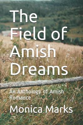 Book cover for The Field of Amish Dreams