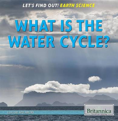 Book cover for What Is the Water Cycle?