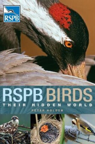 Cover of RSPB Birds: their Hidden World