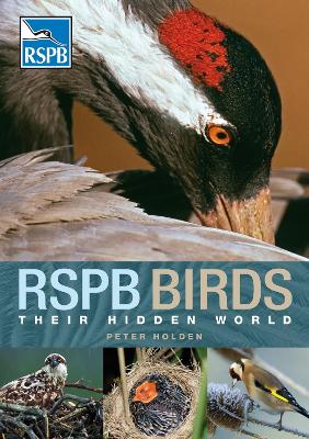 Book cover for RSPB Birds: their Hidden World