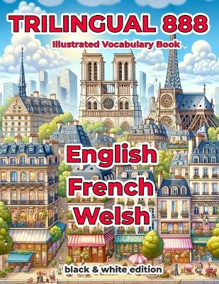 Book cover for Trilingual 888 English French Welsh Illustrated Vocabulary Book