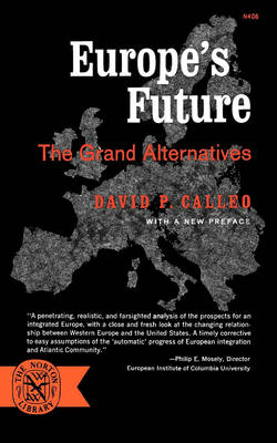 Book cover for Europe's Future